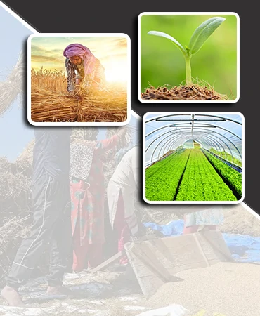 Redevelop Biotech research laboratory and infrastructure for sustainable agriculture