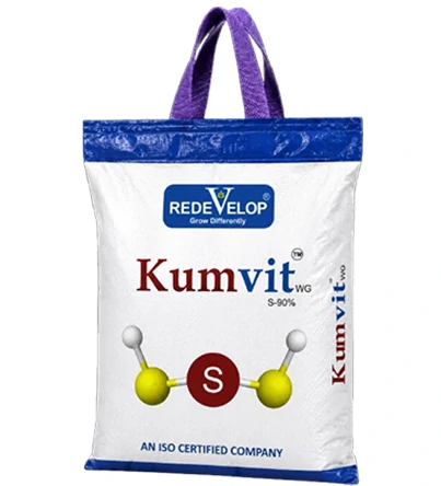 Kumvit