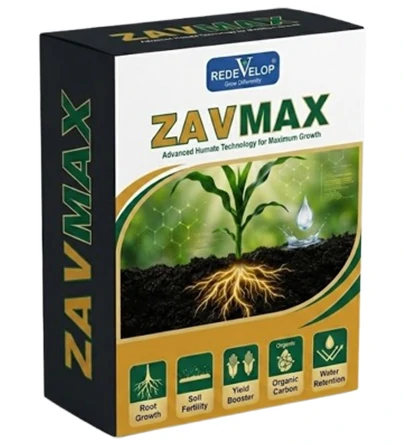 zavmax